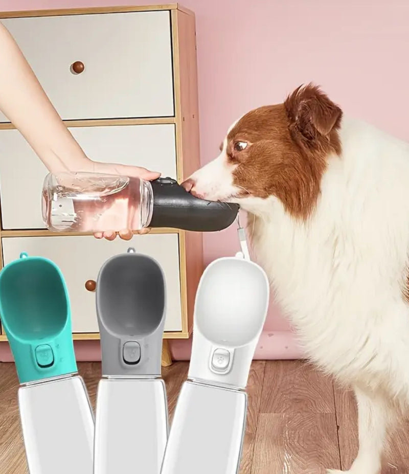 Portable Pet Water Bottle