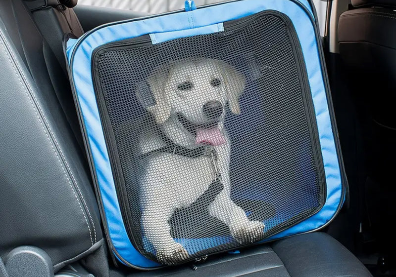 Lightweight Foldable Pet Travel Carrier